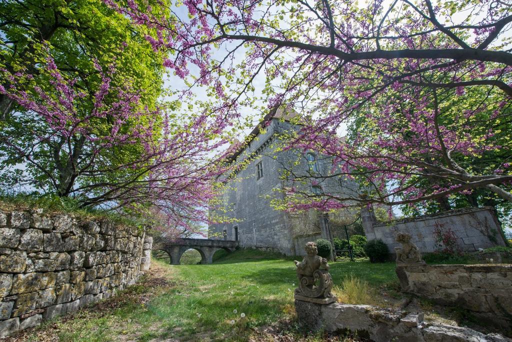 Chateau De Goudourville Villa Exterior photo