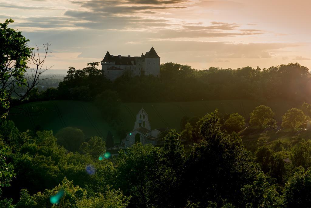 Chateau De Goudourville Villa Exterior photo