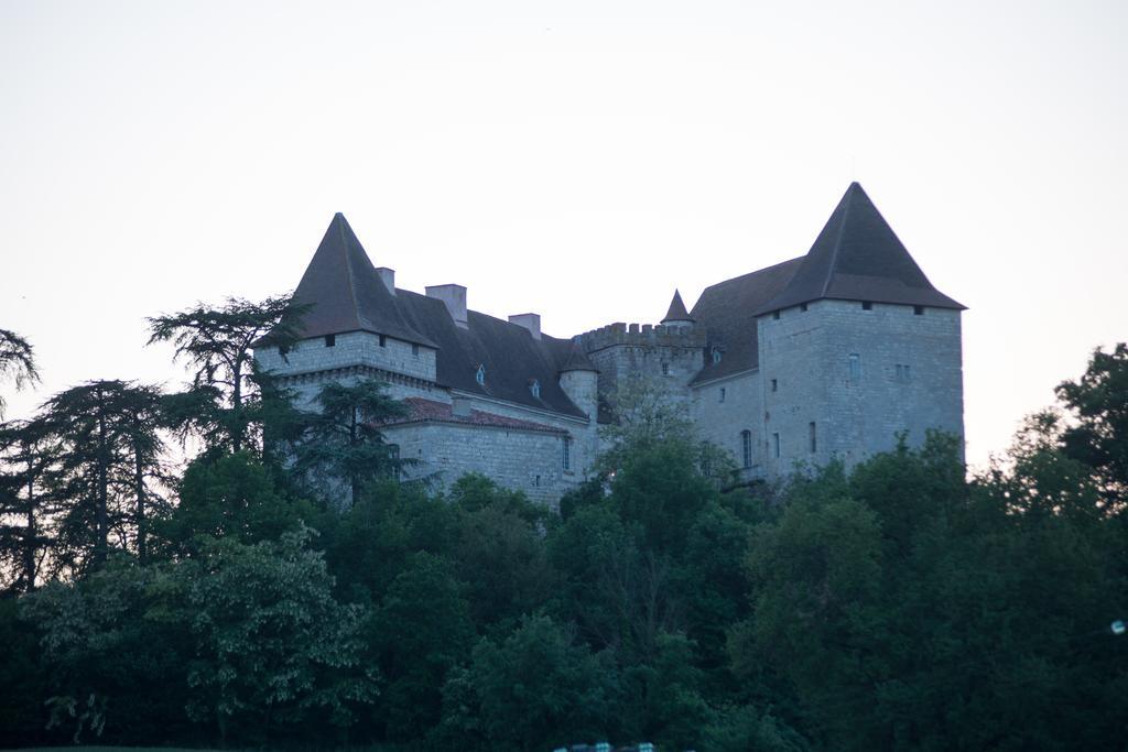 Chateau De Goudourville Villa Exterior photo