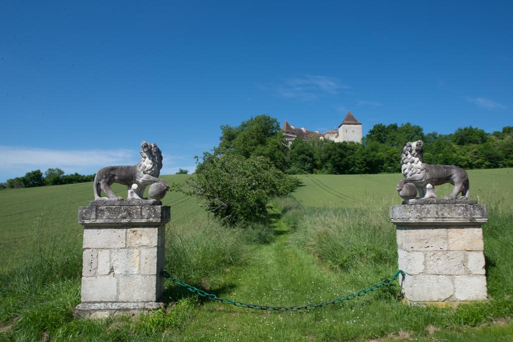 Chateau De Goudourville Villa Exterior photo